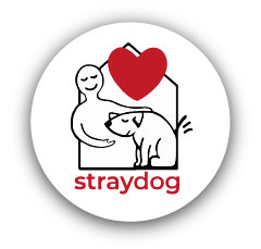 Straydog