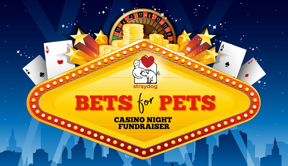 Bets for Pets Website Banner