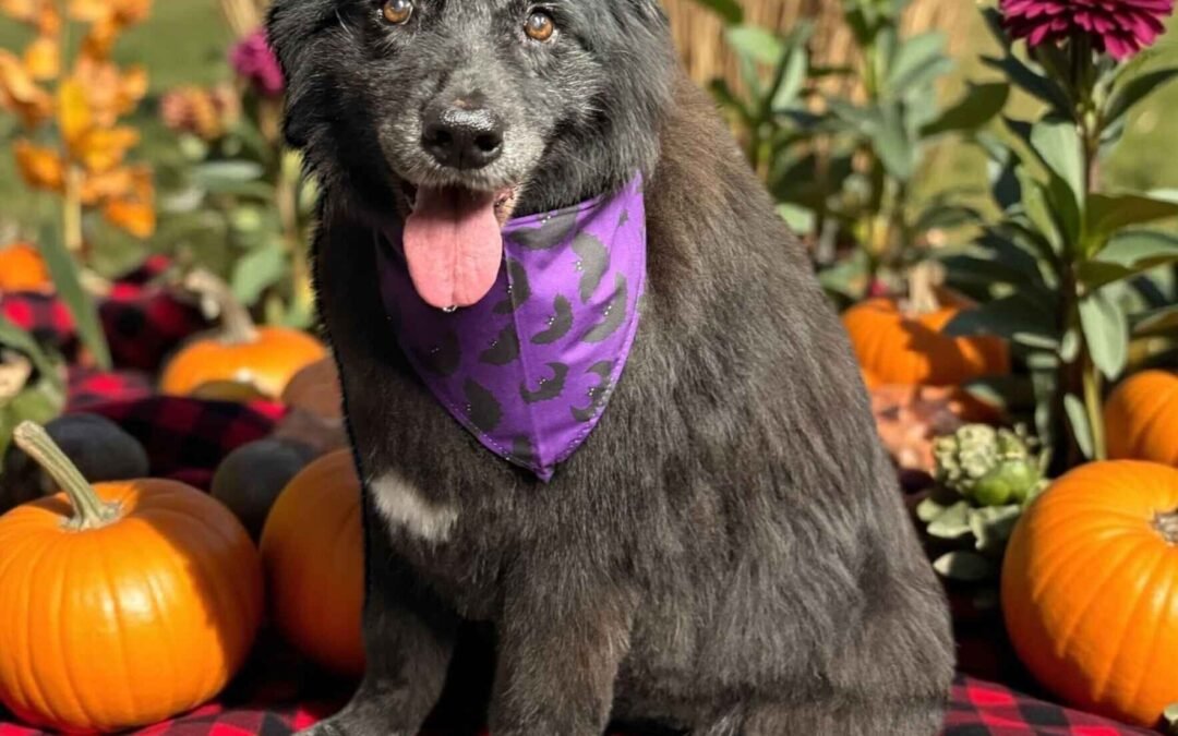 2025 End of Year Giving