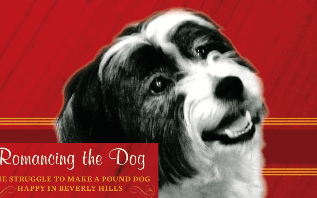 Romancing the Dog by Marion Zola