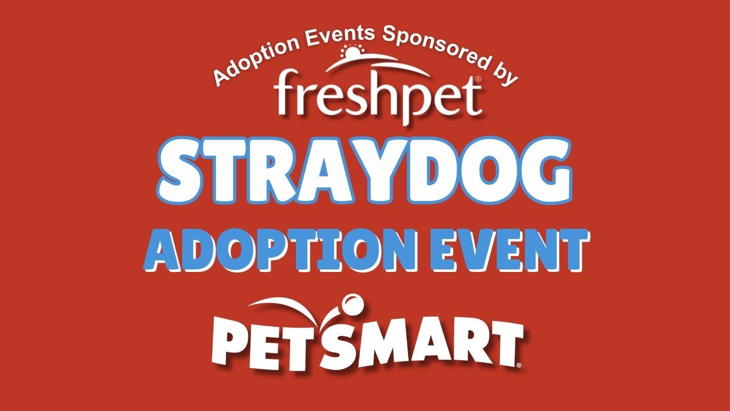 Petsmart Adoption Event
